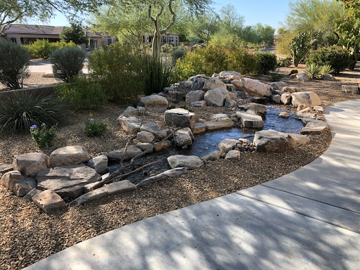 Pond contractor Surprise