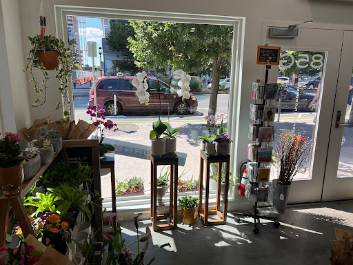 Florist «Halls of Tara Florist», reviews and photos, 2051 Centre St, West Roxbury, MA 02132, USA