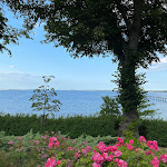 Photo n°6 de l'avis de Ronald. fait le 02/07/2023 à 20:24 sur le  Phönix Hotel Seeblick à Wismar