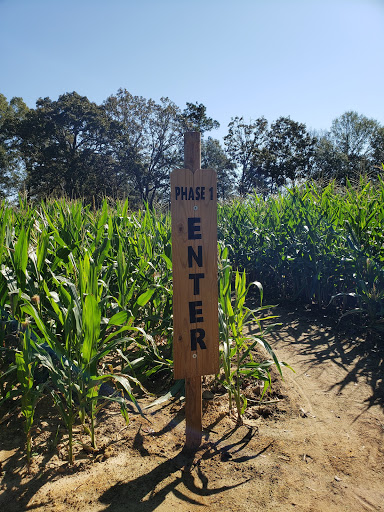 Tourist Attraction «Cajun Country Corn», reviews and photos, 40833 LA-16, Amite City, LA 70422, USA