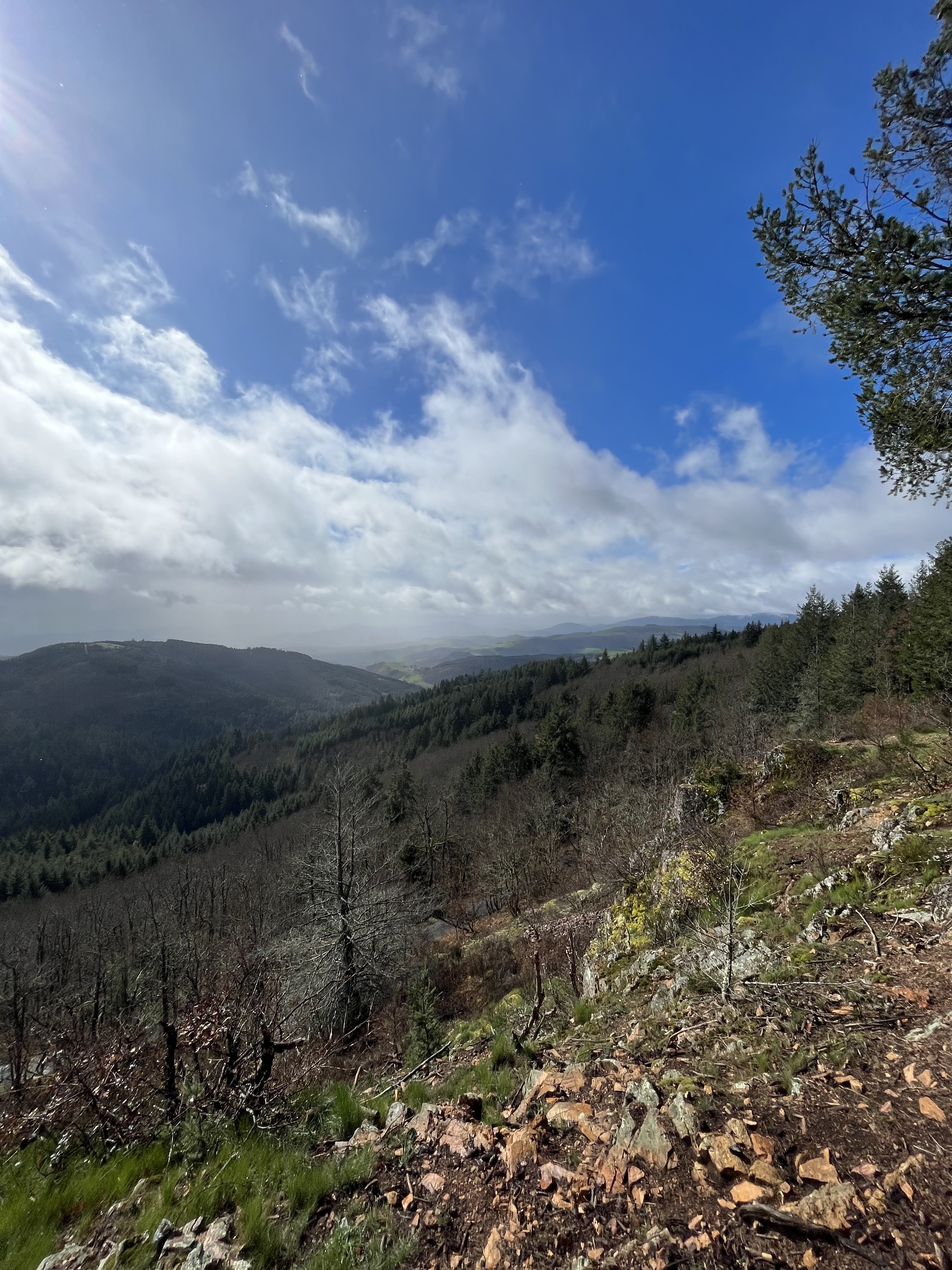 Photo n° 1 de l'avis de Tonio.T fait le 10/04/2023 à 14:36