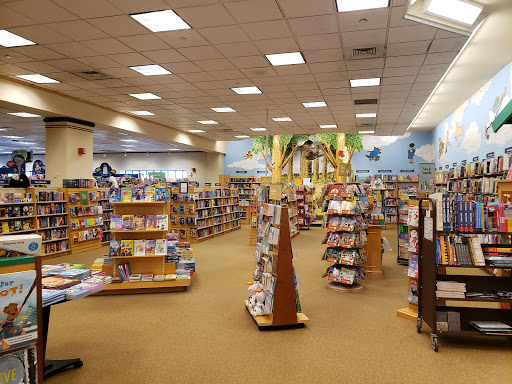 Book Store «Barnes & Noble», reviews and photos, 102 Dorset St, South Burlington, VT 05403, USA