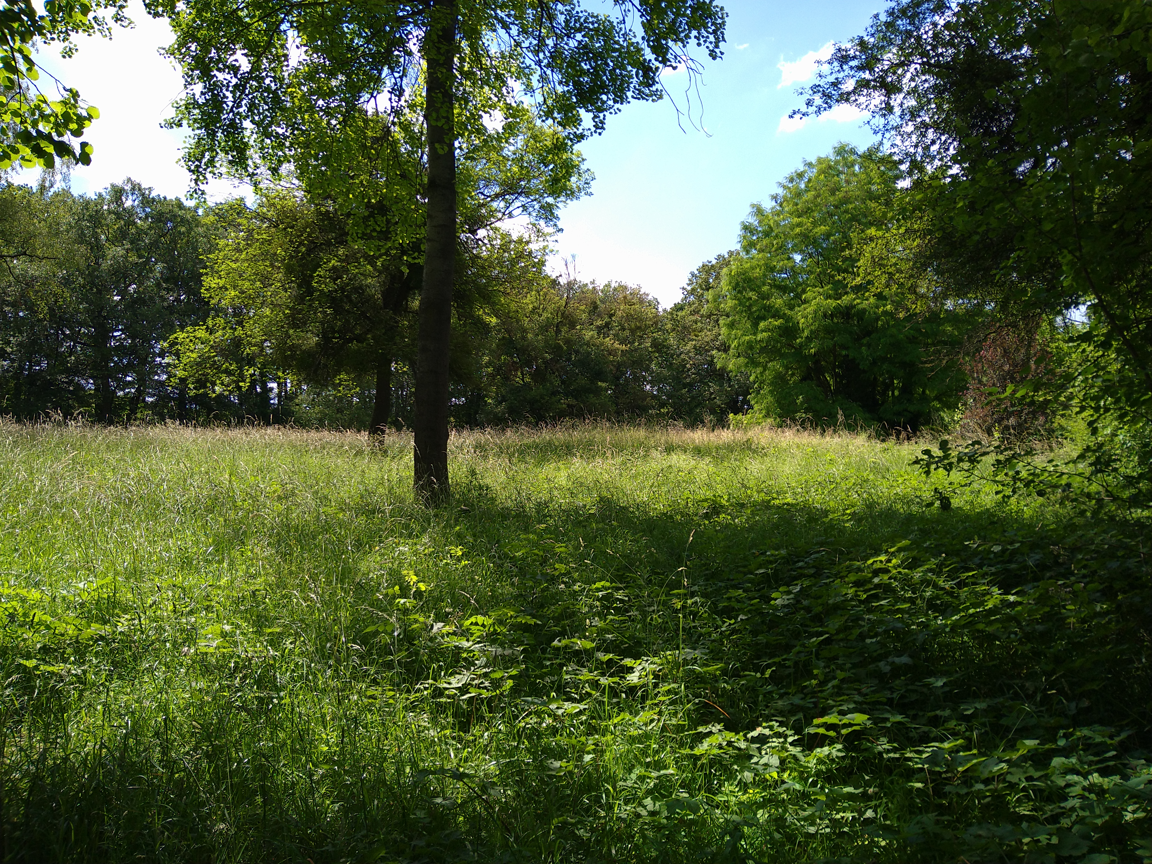 Photo n° 1 de l'avis de D. fait le 11/06/2022 à 19:03