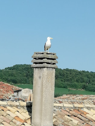 Photos des visiteurs Chambre d'hôtes Relais L'Orizzonte 60020 Sirolo