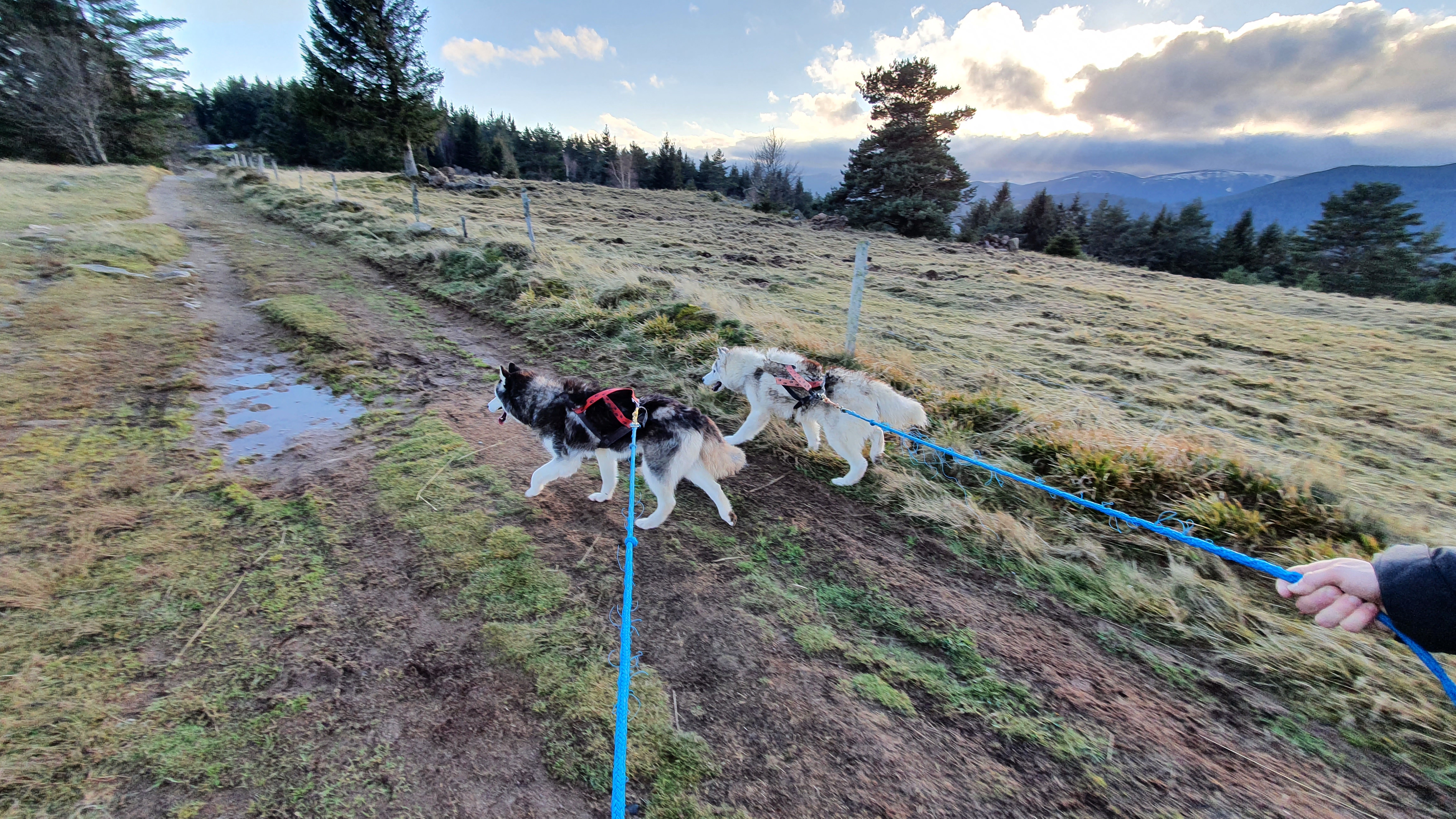 Photo n° 2 de l'avis de Elise.l fait le 18/12/2020 à 17:42