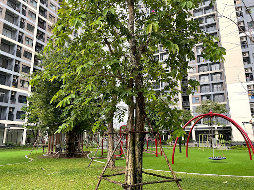 Top 20 apt cửa hàng Quận Hoàng Mai Hà Nội 2022