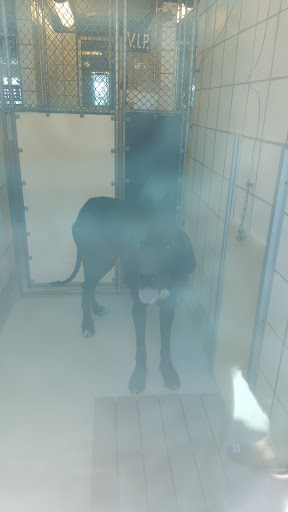 Animal Shelter «Humane Society of El Paso», reviews and photos