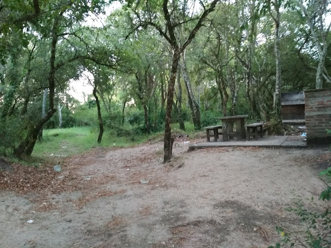 Opiniones de Laguna del Medio. Florida. Uruguay en Florida - Camping