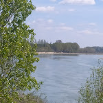 Photo n°1 de l'avis de Daniela.a fait le 10/04/2023 à 13:56 sur le  Trattoria Le Donne Di Alfeo à Bagnolo San Vito