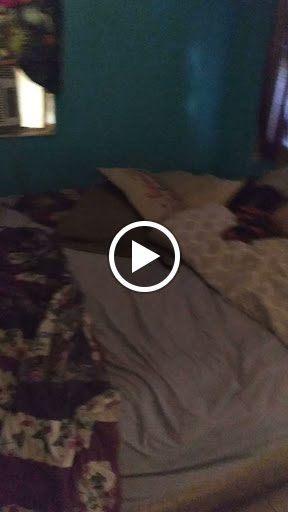 Liquor Store «Liquor Discount Hut», reviews and photos, 727 N Atlantic Ave, Daytona Beach, FL 32118, USA