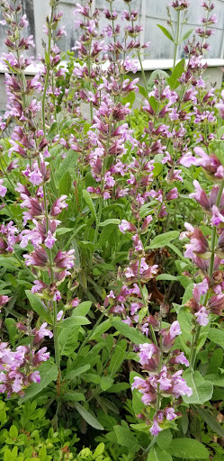 History Museum «Bush House Museum», reviews and photos, 600 Mission St SE, Salem, OR 97302, USA