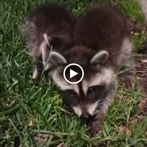 Invitation Printing Service «White House Custom Colour», reviews and photos, 2840 Lone Oak Pkwy, Eagan, MN 55121, USA