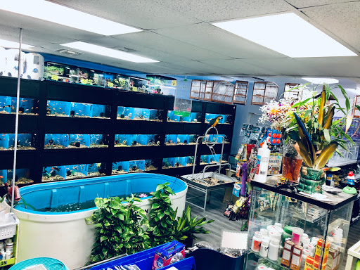 Pet Supply Store «Neighborhood Pet Shop», reviews and photos, 574 Hialeah Dr, Hialeah, FL 33010, USA