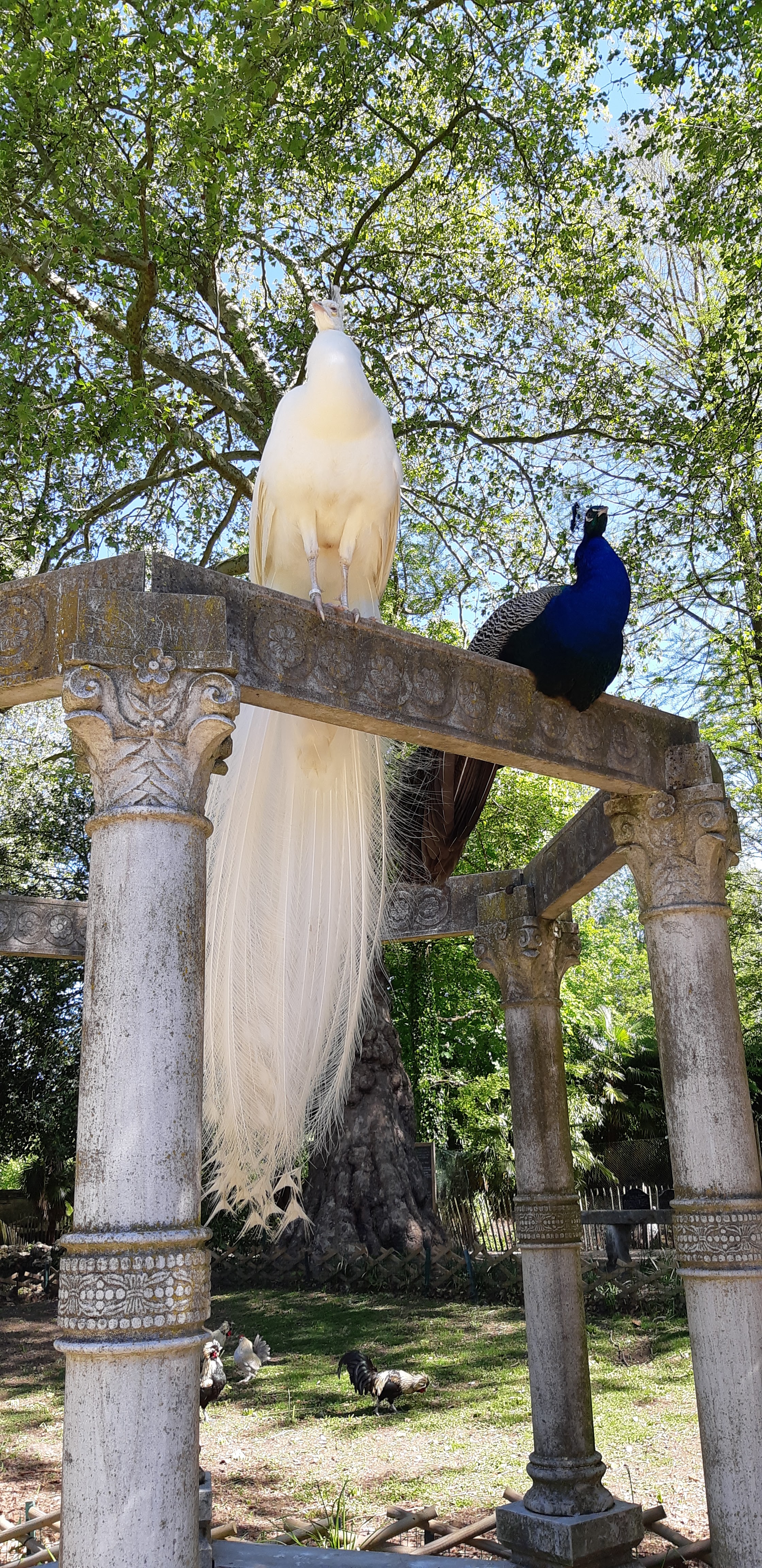 Photo n° 8 de l'avis de ANGÉLIQUE.A fait le 16/05/2019 à 10:37