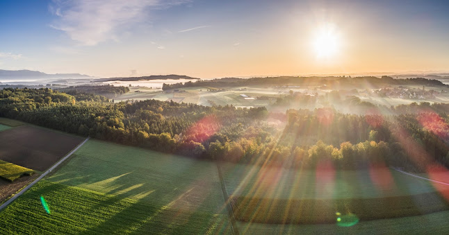 Notariat Jaccottet Lyss Öffnungszeiten