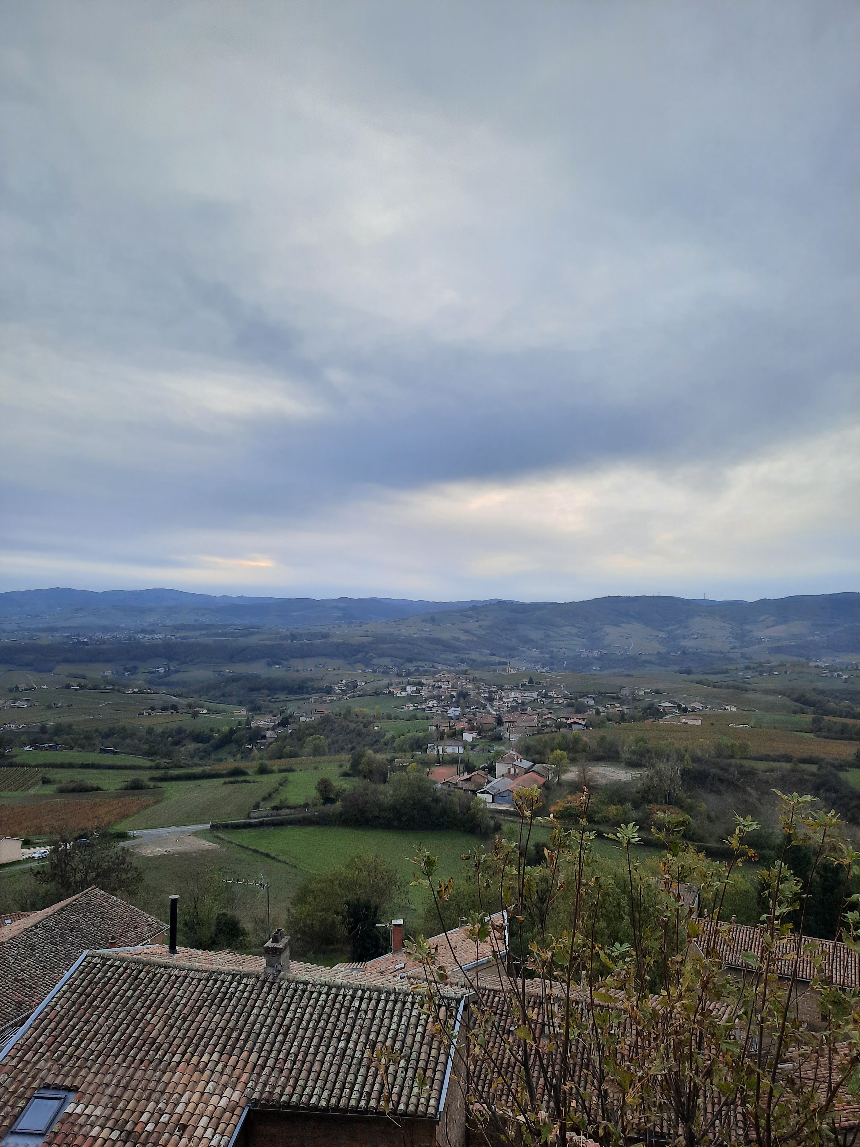 Photo n° 1 de l'avis de M. fait le 13/11/2023 à 08:46