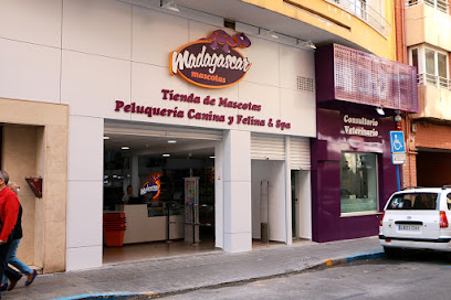 Madagascar Mascotas - Centro - Servicios para mascota en Alicante (Alacant)