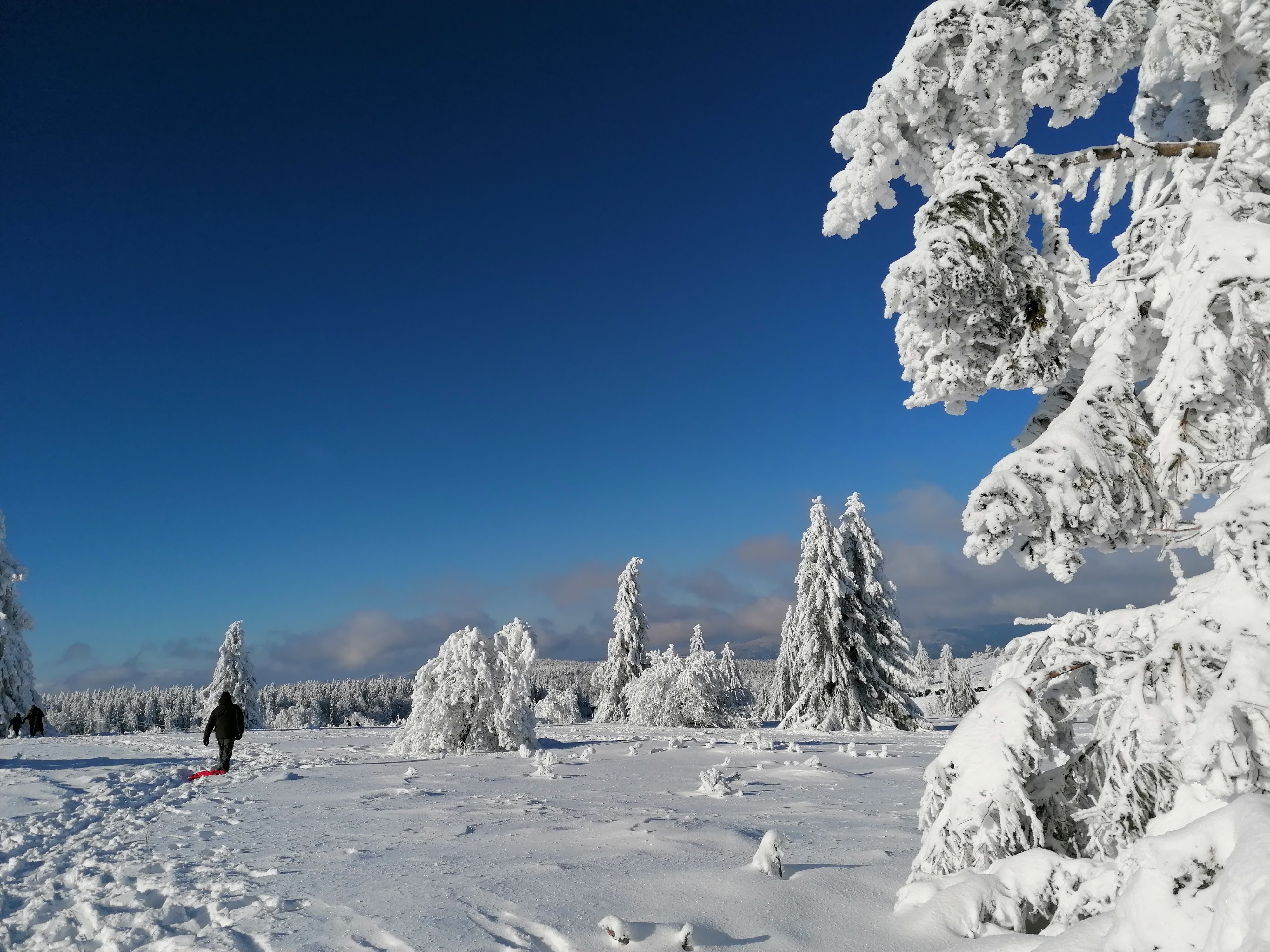 Photo n° 31 de l'avis de sumrak78. fait le 30/12/2020 à 15:39