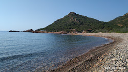Foto di Spiaggia La Spiaggetta con più baie spaziose