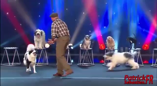 Fiscalia General de la Nacion Piedecuesta