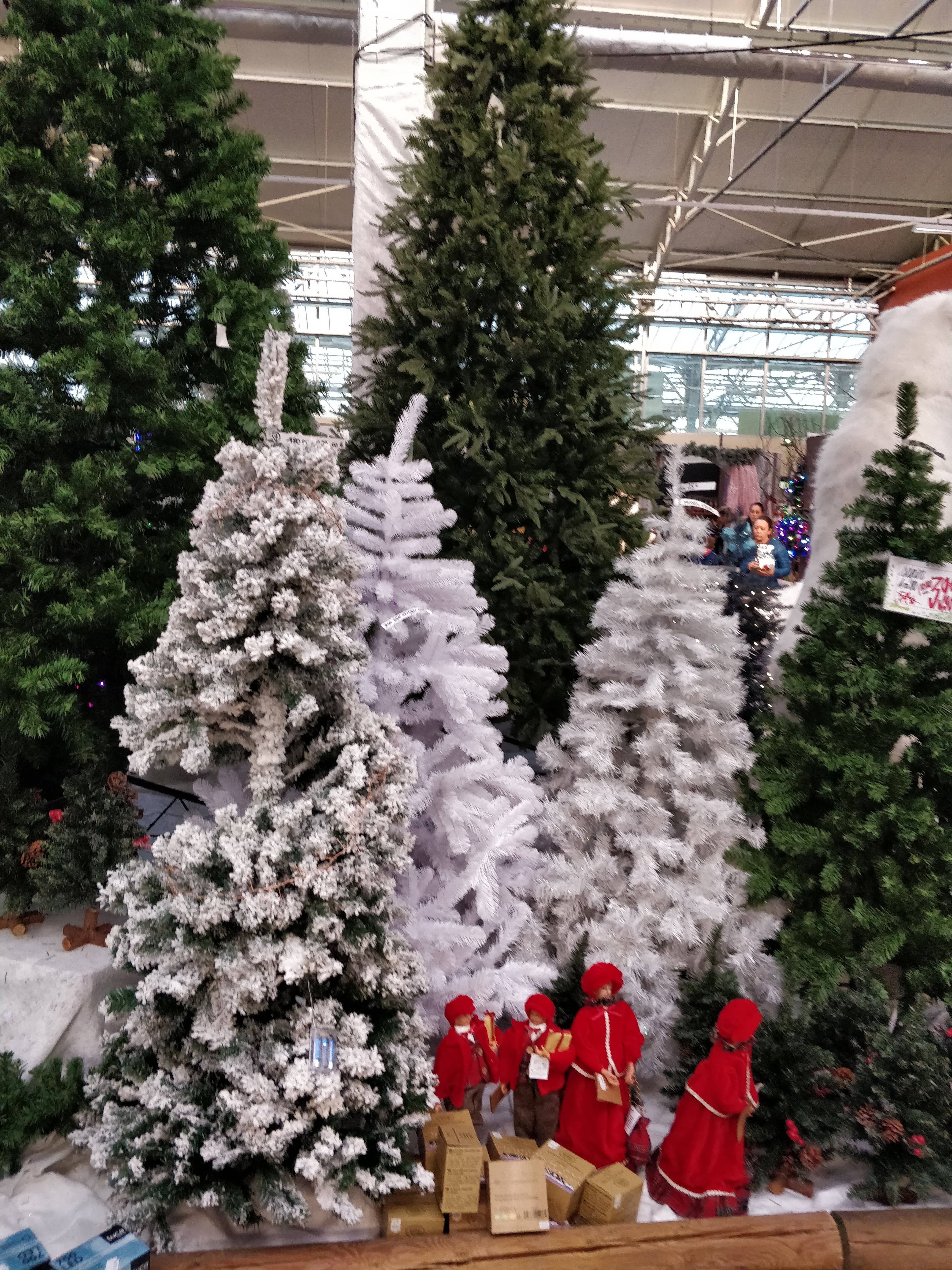 Photo n° 24 de l'avis de David.E fait le 01/12/2019 à 19:52