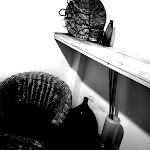 Photo n°3 de l'avis de Elisa.a fait le 24/11/2019 à 18:43 sur le  Country House Ca 'Virginia Wellness Bike Resort à Borgo Massano