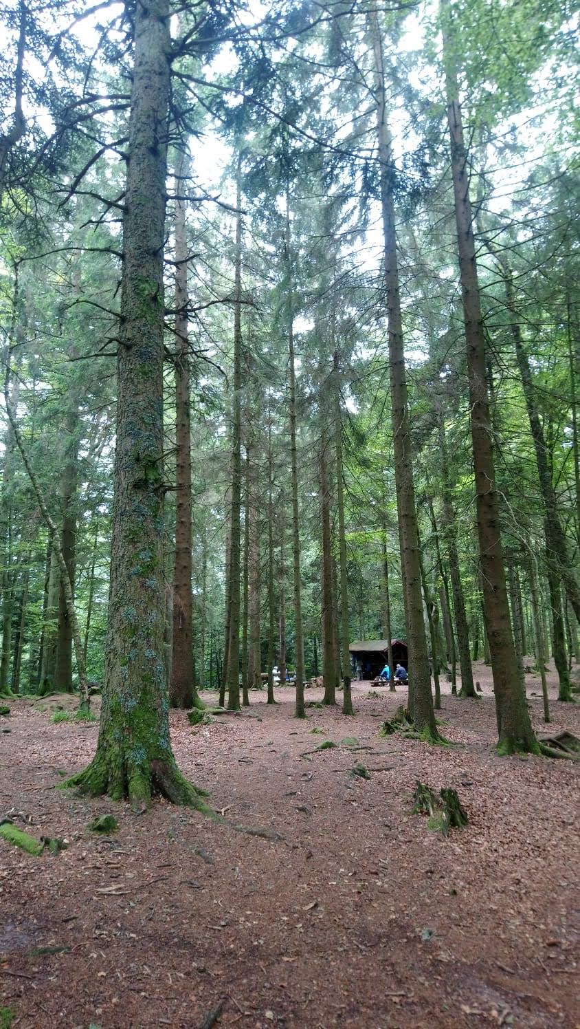 Photo n° 3 de l'avis de Bernard.m fait le 30/09/2019 à 15:36