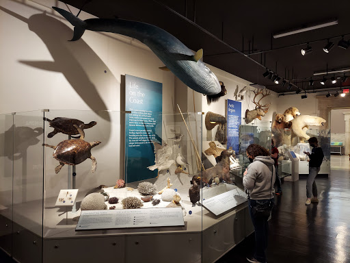 Science Museum «Buffalo Museum of Science», reviews and photos, 1020 Humboldt Pkwy, Buffalo, NY 14211, USA