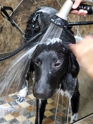 Pet Store «Pet Valu», reviews and photos, 63 Eastern Blvd N, Hagerstown, MD 21740, USA