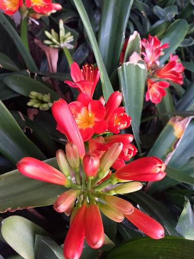 Park «Mike Ward Community Park Woodbridge», reviews and photos, 20 Lake Rd, Irvine, CA 92604, USA