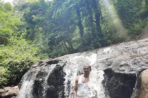Chempanaruvi Water Falls image