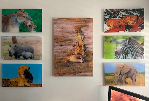 Commercial Printer «All in 1 Graphics - Printing & Signs», reviews and photos, 10 Cedar Swamp Rd, Glen Cove, NY 11542, USA