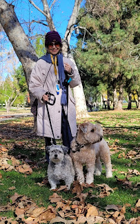 Tails A Wag Inn - Photo 3 - Car repair in Anaheim, CA, Ontario