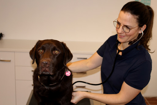 Tierärztliche Praxis Dr. med. vet. Andrea Rütz, MBA unter Münsing, Bayern