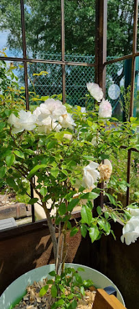 Photos du propriétaire du Restaurant La Serre aux Fleurs à Honfleur - n°8