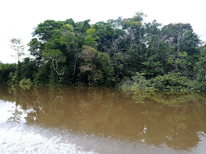 Parque Nacional Natural Cahuinarí