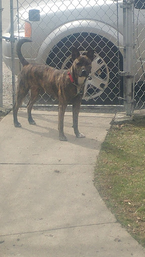 Animal Shelter «HELP the Animals, Inc», reviews and photos, 2101 W Main St, Richmond, IN 47374, USA