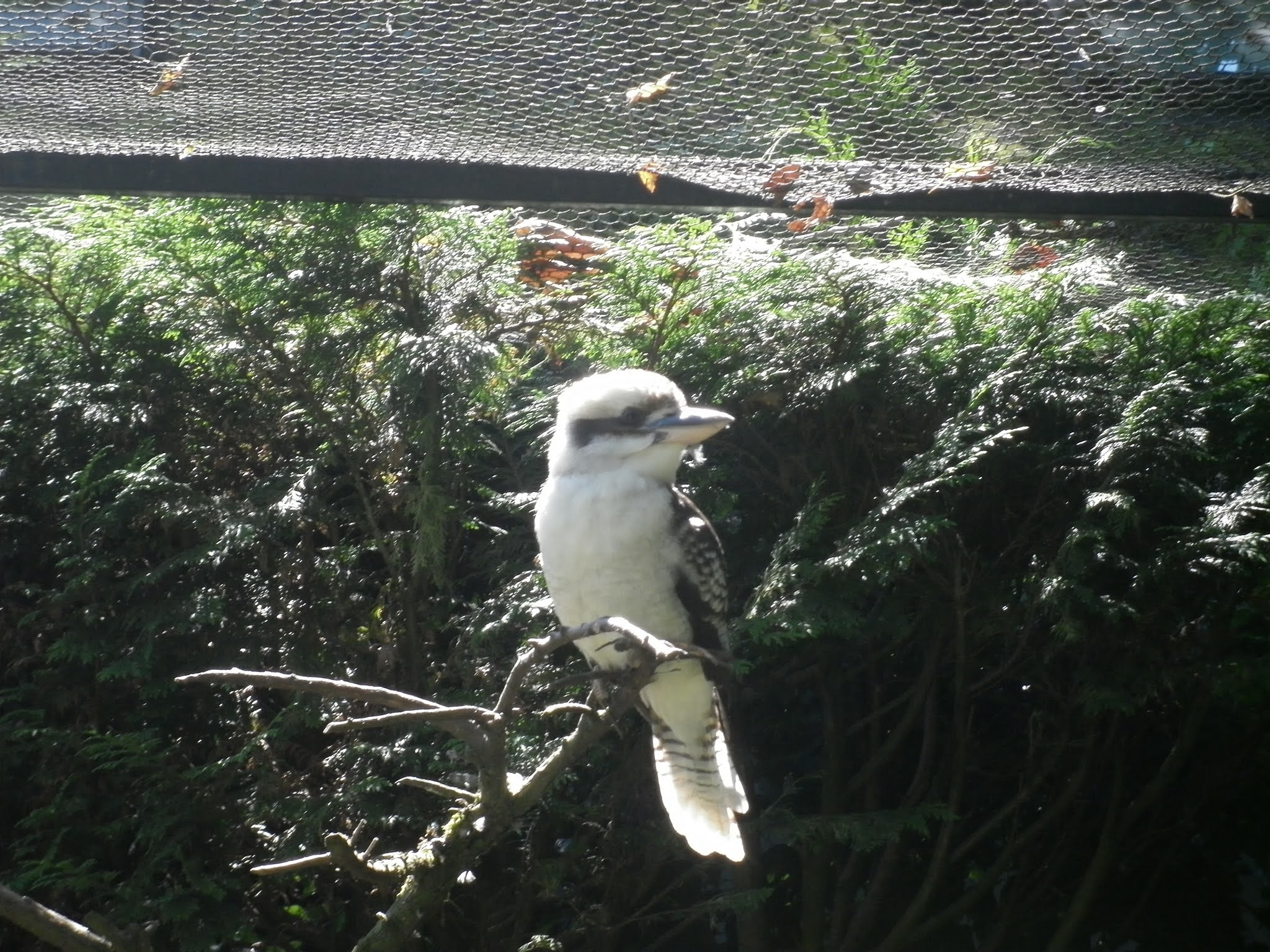 Photo n° 7 de l'avis de Psytrance.p fait le 06/06/2021 à 23:54