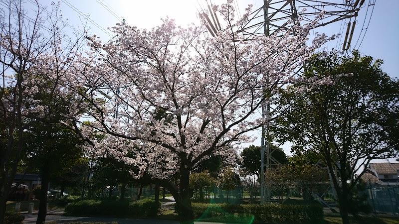 アスレチック公園 千葉県市原市五井 公園 公園 グルコミ