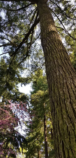 Park «Oregon Park», reviews and photos, NE Oregon St & NE 30th Ave, Portland, OR 97232, USA