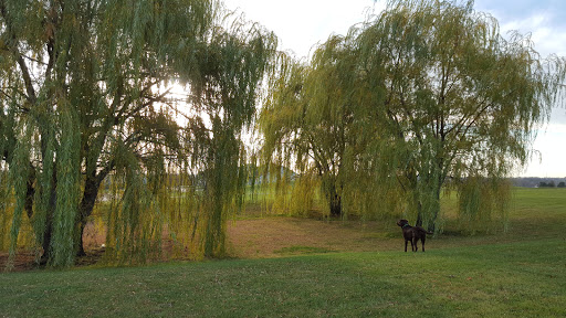 Golf Course «Hunters Ridge Golf Course», reviews and photos, 2901 Hunters Ridge Rd, Marion, IA 52302, USA