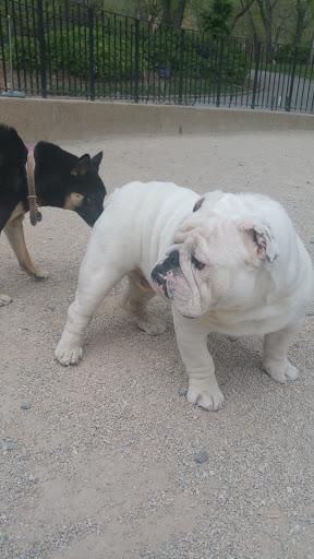 Park «Carl Schurz Park», reviews and photos, East 86th Street & East End Ave, New York, NY 10028, USA