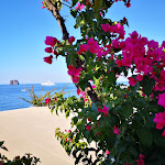 Photo n°1 de l'avis de Maria.r fait le 04/07/2019 à 04:57 sur le  La Sirenetta Park Hotel à Lipari