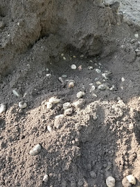 Landscape Supply - Photo 8 - Car repair in Muskegon, MI, Muskegon