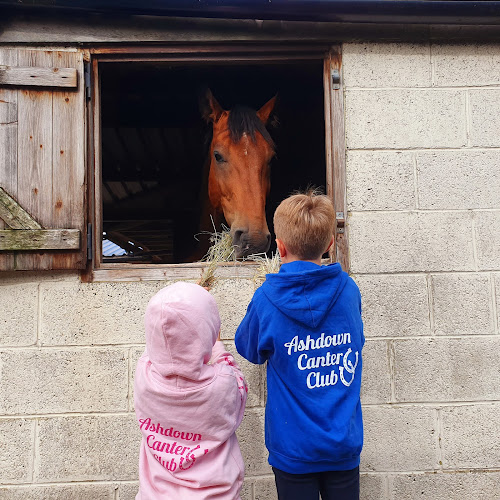 Reviews of Ashdown Equestrian Centre in Swindon - School