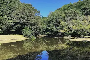 Zama Yatoyama Park image