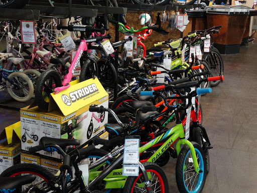 Bicycle Store «Bicycle Village - Colorado Springs», reviews and photos, 2450 Montebello Square Dr, Colorado Springs, CO 80918, USA