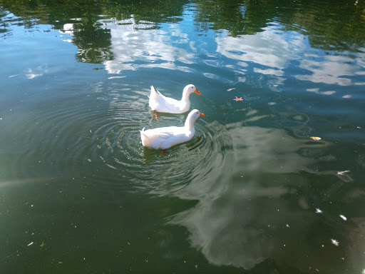 Park «Riverside Park», reviews and photos, 753 Park St, Jacksonville, FL 32204, USA