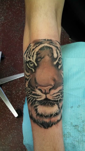 Explore black bear tattoo ideas, creative tattoo ideas in Baltimore, available at Absolute Tattoo & Body Piercing