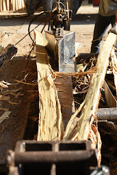 Photo n°2 de Piquet Bois à Ranchot ()